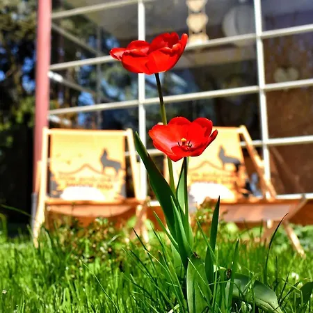 Dom Goscinny Panskie Pola Kolo Szczyrku * Szczyrk