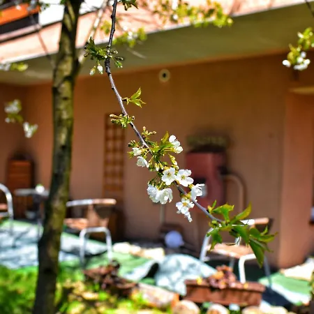 Dom Goscinny Panskie Pola Kolo Szczyrku * Szczyrk