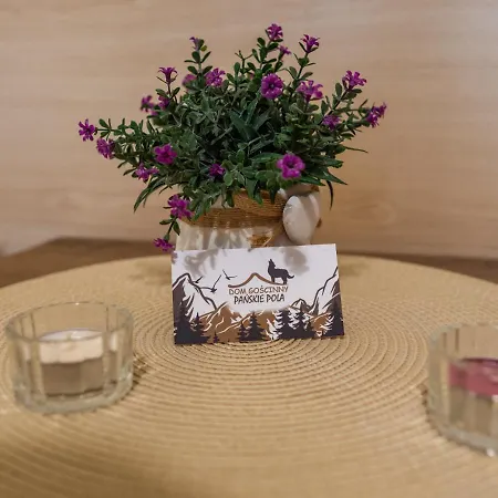 Gasthof Dom Goscinny Panskie Pola Kolo Szczyrku