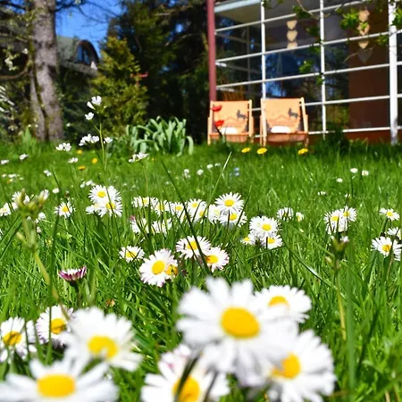 Cały Dom na Wyłączność Wilkowice Nocleg Beskidy Góry 8 km Szczyrk sauna Enduro Trails Pensión *