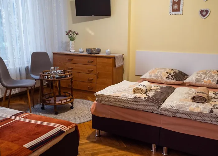 Dom Goscinny Panskie Pola Kolo Szczyrku *