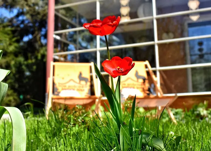 Dom Goscinny Panskie Pola Kolo Szczyrku * Szczyrk