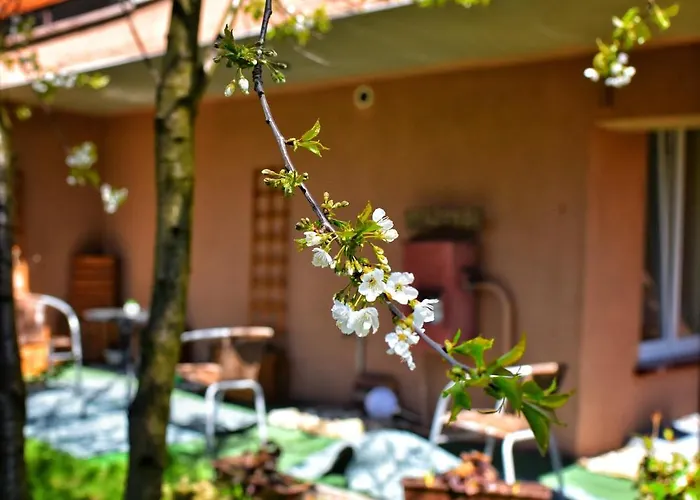 Dom Goscinny Panskie Pola Kolo Szczyrku * שצ'צ'ירק