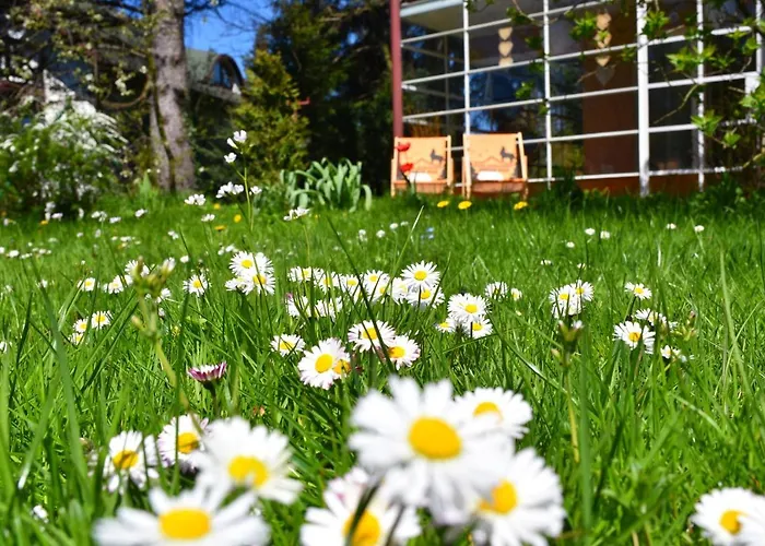 Dom Goscinny Panskie Pola Kolo Szczyrku בית הארחה *